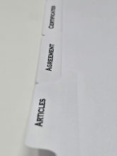 Keep your LLC documents neatly organized with this professional set of 1/5 Cut LLC Binder Tabs. Each set includes five pre-printed dividers for the most common company sections, such as Operating Agreement, Membership Register, State Filings & Annual Repo